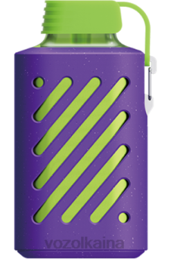 VOZOL GEAR 10000 hielo de arándanos 028X315 - Vozol Vape Kaina