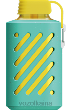 VOZOL GEAR 10000 sandía frambuesa 028X306 - Vozol Vape