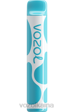 VOZOL JOYGO 600 arándano frambuesa agria 028X377 - Vozol Cigarete