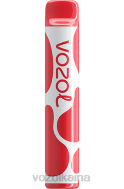VOZOL JOYGO 600 lichi guayaba sandía 028X385 - Vozol Kaina