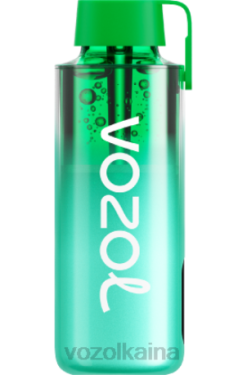 VOZOL NEON 10000 menta de miami 028X229 - Vozol Kaina