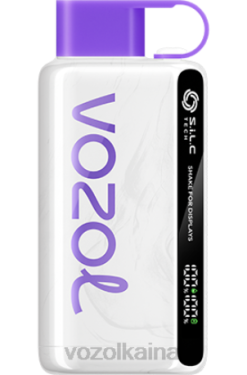 VOZOL STAR 9000/12000 arándano mango pomelo 028X39 - Vozol Vape Kaina