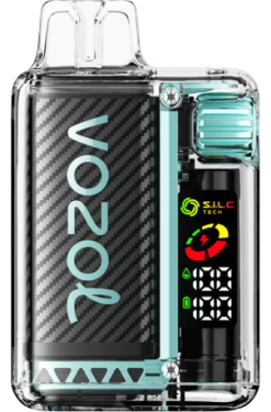 VOZOL VISTA 16000/20000 menta de miami 028X9 - Vozol Vape Kaina