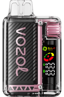 VOZOL VISTA 16000/20000 sandia mango durazno 028X12 - Vozol Vape